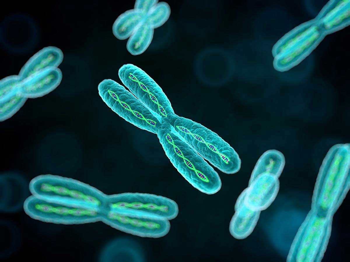 Cariotipo e infertilità: le indagini genetiche da eseguire 1 cariotipo